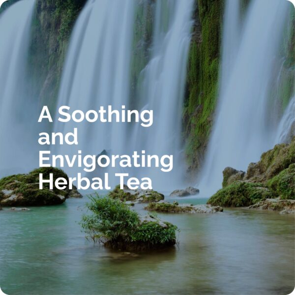 Natural Detox - Image 5